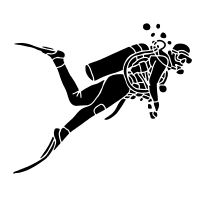 Anasayfa 4 dalış turu