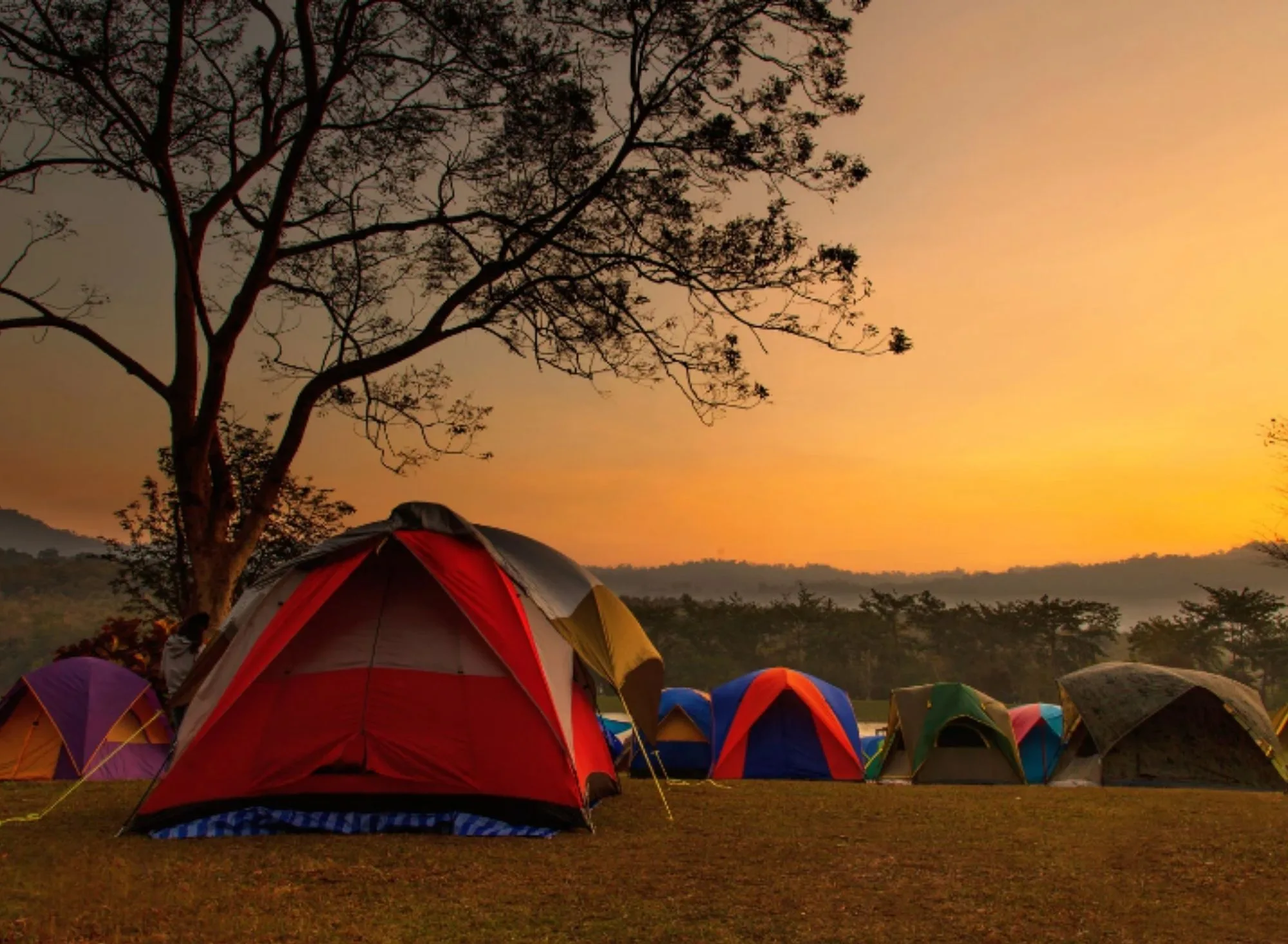 tekirdağ kamp alanı (3)